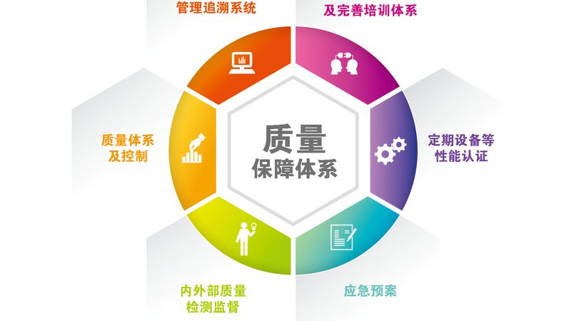 揭秘经络拍打操：十大品牌背后的秘密与选择指南